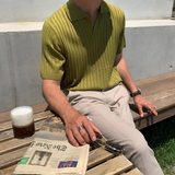 Radvilas | Elegantiški ryžiuoti polo marškinėliai